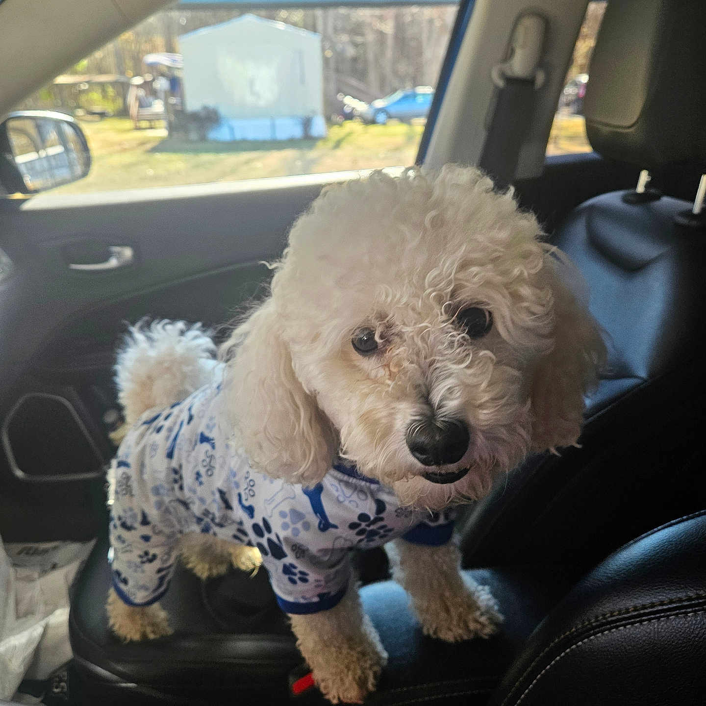 Nash