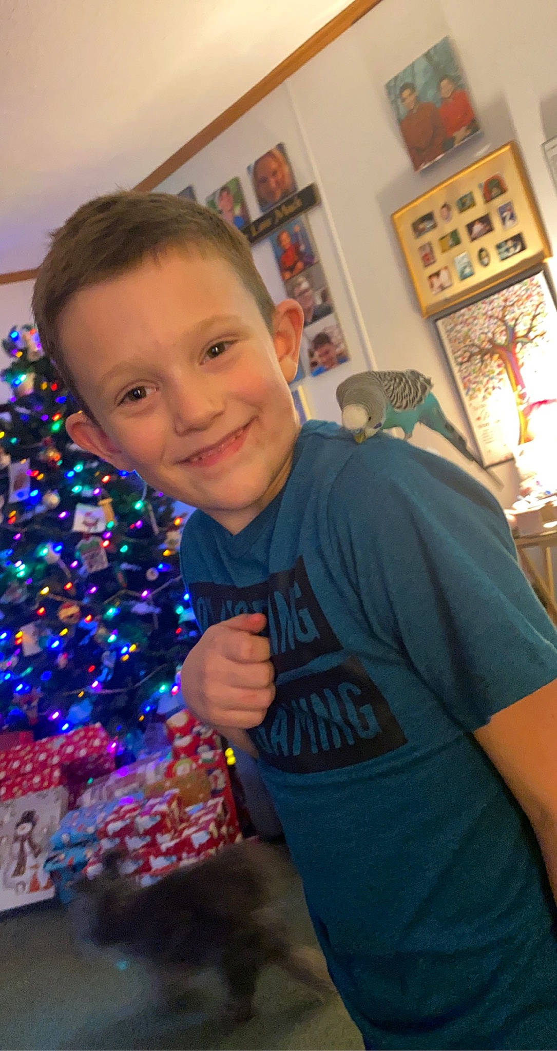 Jordan is registered to the contest to win money with this photo: child, christmas_decoration, christmas_ornament, christmas_tree, conifer, electric_blue, event, fun, hairstyle, happy, holiday, holiday_ornament, joy, leisure, ornament, person, picture_frame, room, smile, t_shirt