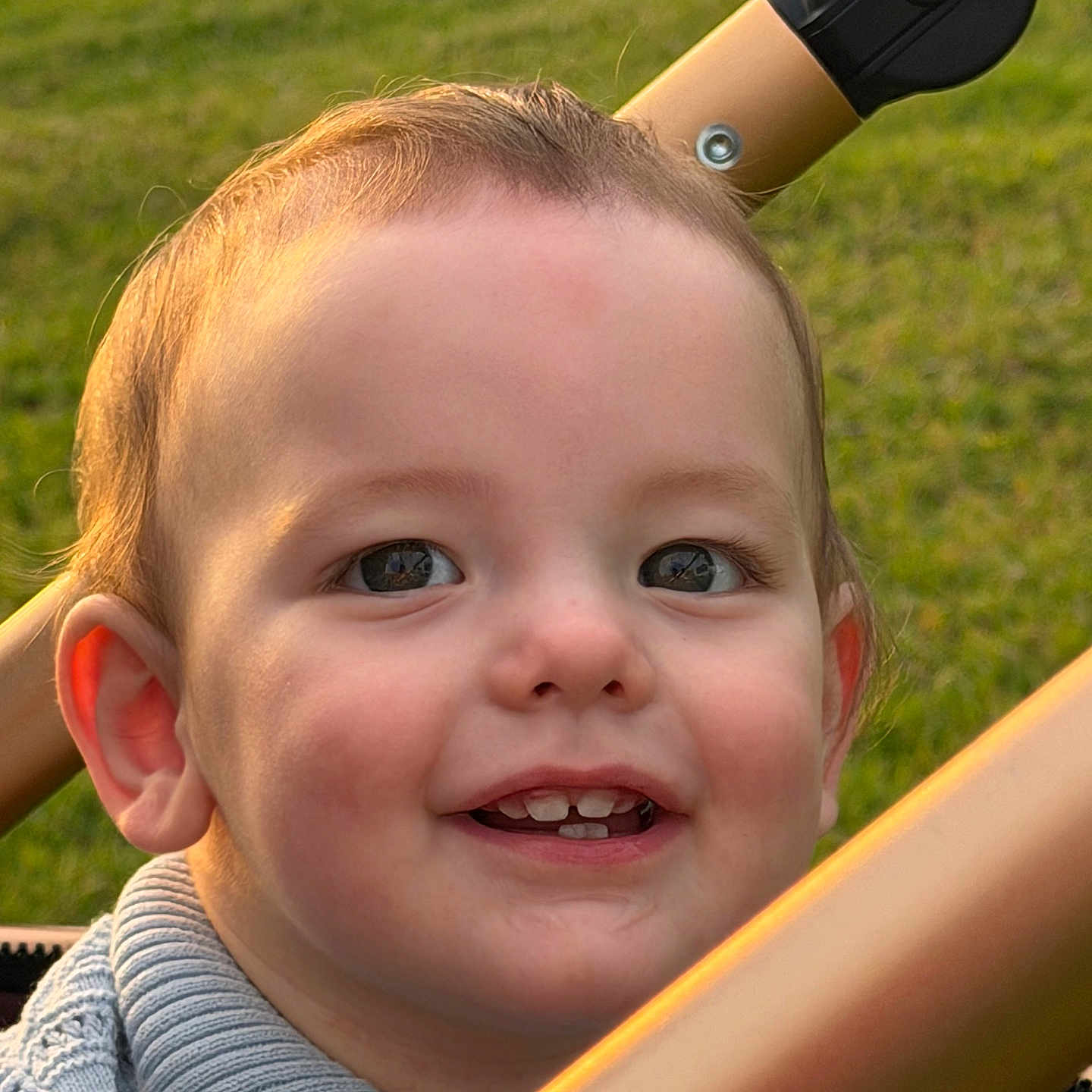 Janson