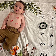 Alex participe au concours pour gagner de l'argent avec cette photo : baby, bird, blanket, cozy, curious_eyes, cute, deer, indoor, infant, lipstick_marks, lying_down, mushrooms, numbers, pants, playful, rabbit, shirtless, squirrel, woodland_animals, wreath