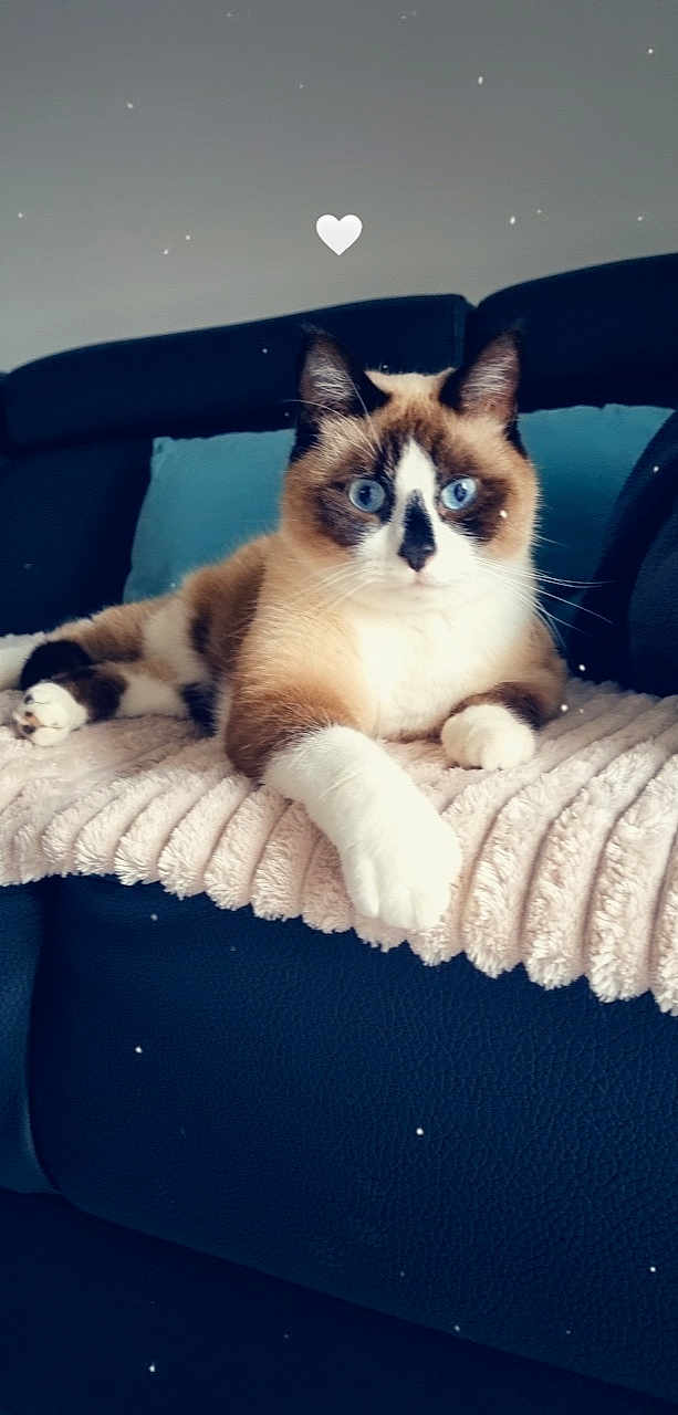 Caramel