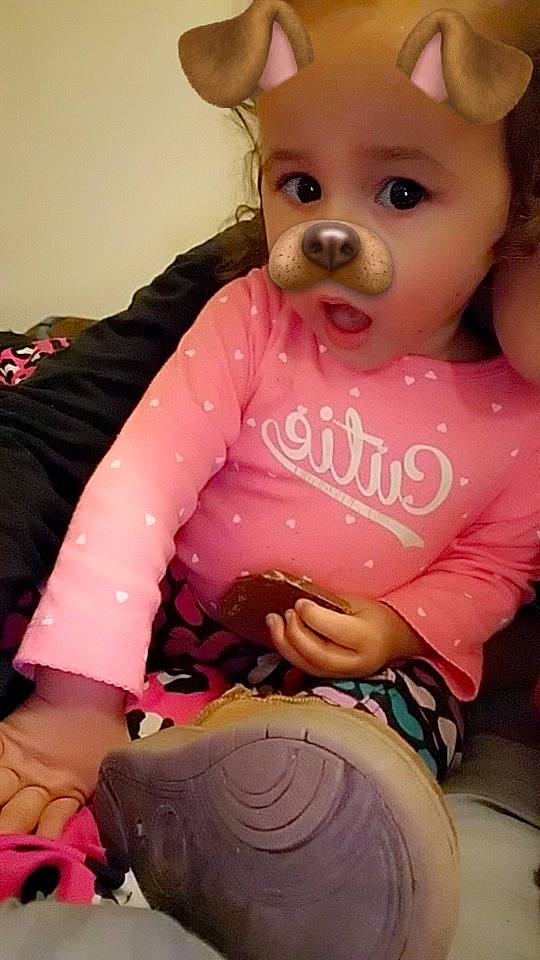 Lailani joined the competition — help win amazing prizes! canidae, cheek, chihuahua, child, companion_dog, dog_breed, dog_clothes, doll, ear, eye, fawn, person, pink, puppy_love, skin, snout, stuffed_toy, toddler, toy, toy_dog