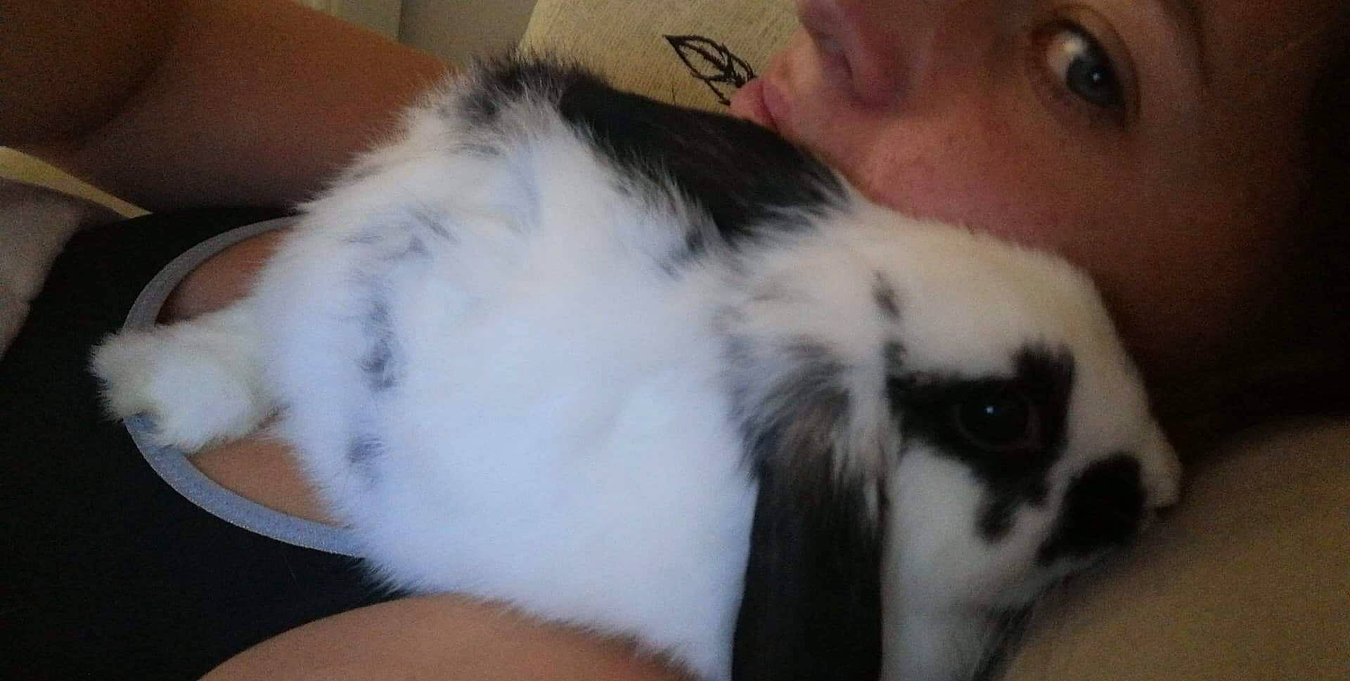 Lady Pitchoune Hope participe au concours pour gagner de l'argent avec cette photo : canidae, companion_dog, dog_breed, domestic_rabbit, ear, eye, fur, japanese_chin, mammal, nose, rabbit, rabbits_and_hares, snout, whiskers