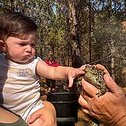 Shane joined the competition — help win amazing prizes! child, toddler, person, toad, animal, hand, forest, tree, nature, sunlight, outdoor, curious, tank_top, adult_hand, baby, pine_tree, wildlife, exploring, green, daytime