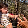 child, toddler, person, toad, animal, hand, forest, tree, nature, sunlight, outdoor, curious, tank_top, adult_hand, baby, pine_tree, wildlife, exploring, green, daytime