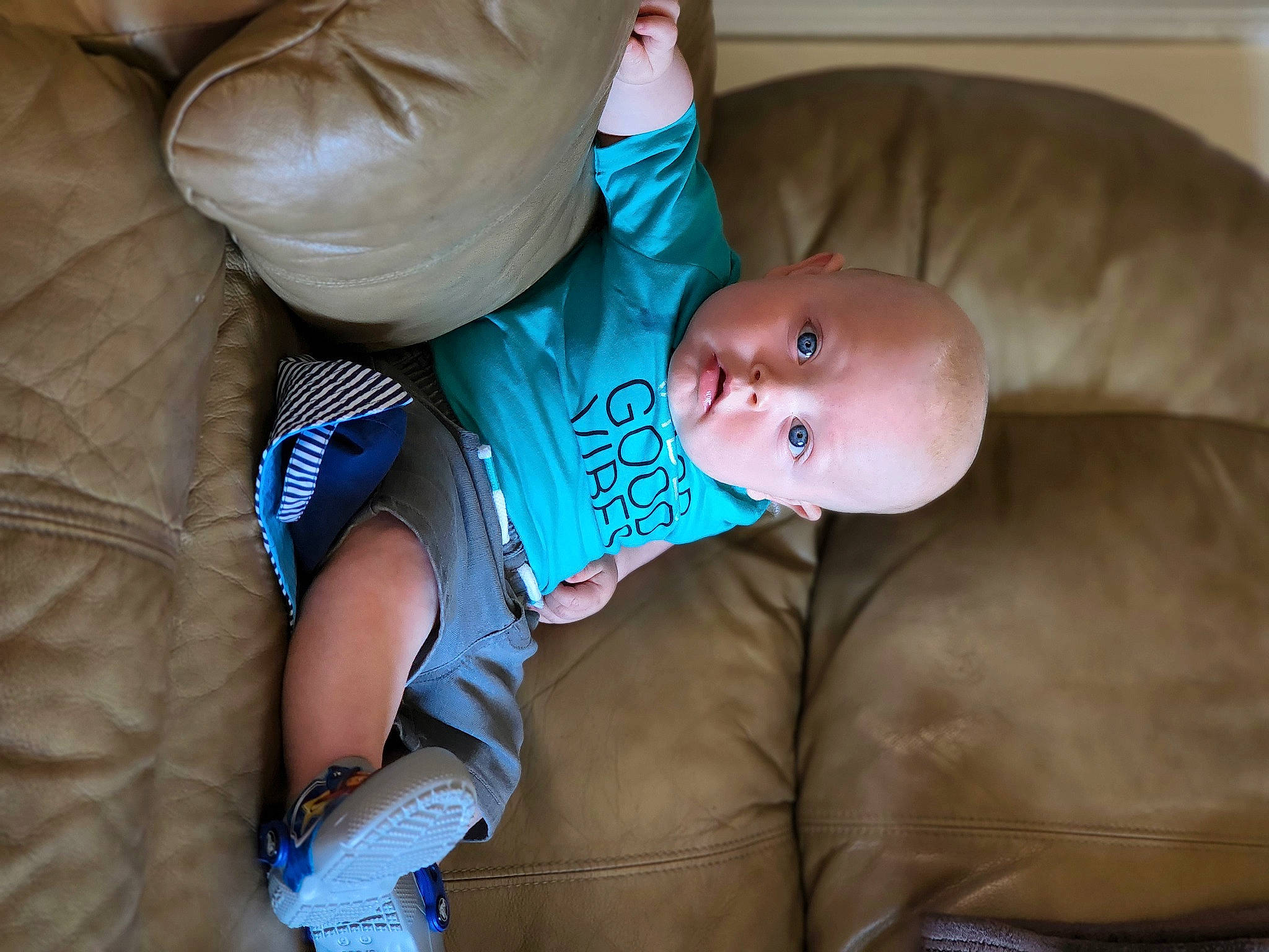 Rowan is registered to the contest to win money with this photo: abdomen, arm, baby, baby_toddler_clothing, cheek, comfort, eye, finger, glasses, hand, happy, human_body, iris, mouth, nose, person, skin, smile, toddler, tree