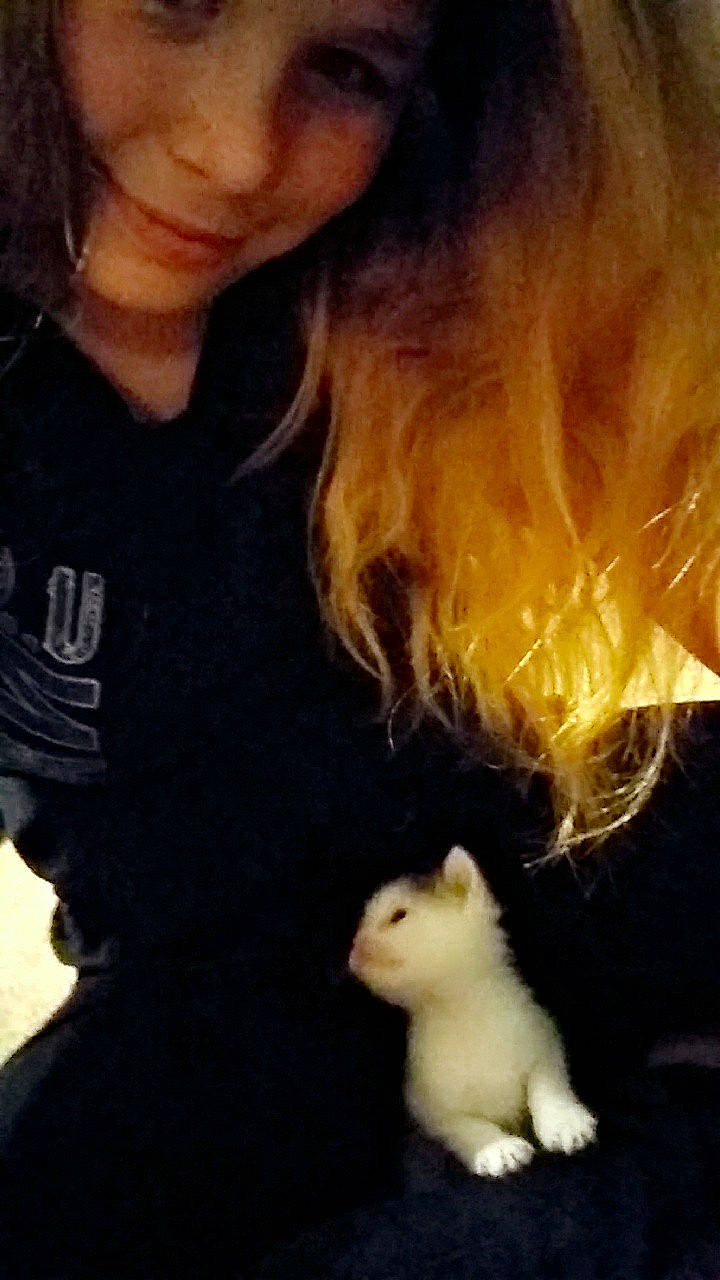 Loki joined the competition — help win amazing prizes! cheek, ear, fur, guinea_pig, long_hair, neck, nose, photography, rodent, selfie, whiskers