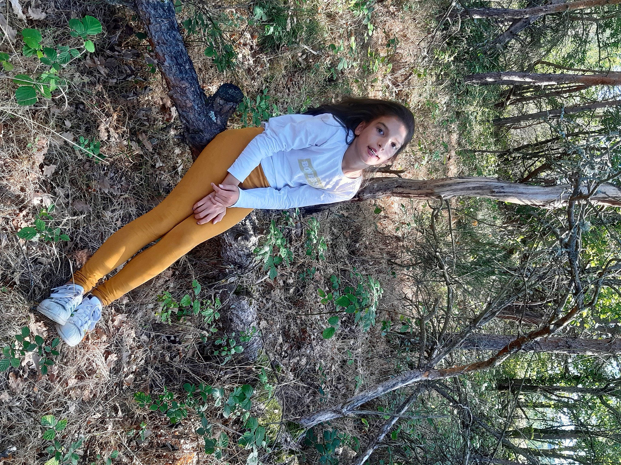 Eloize a rejoint le concours — aidez-le/la à gagner de superbes lots ! jungle, person, tree