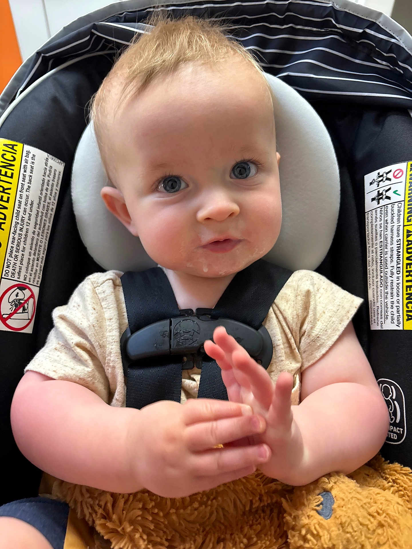 Corbin is registered to the contest to win money with this photo: baby, child, car_seat, blue_eyes, plush_toy, hands, clothing, seatbelt, infant, cute, closeup, indoor, person, headrest, straps, soft_toy, expression, skin, sitting, young