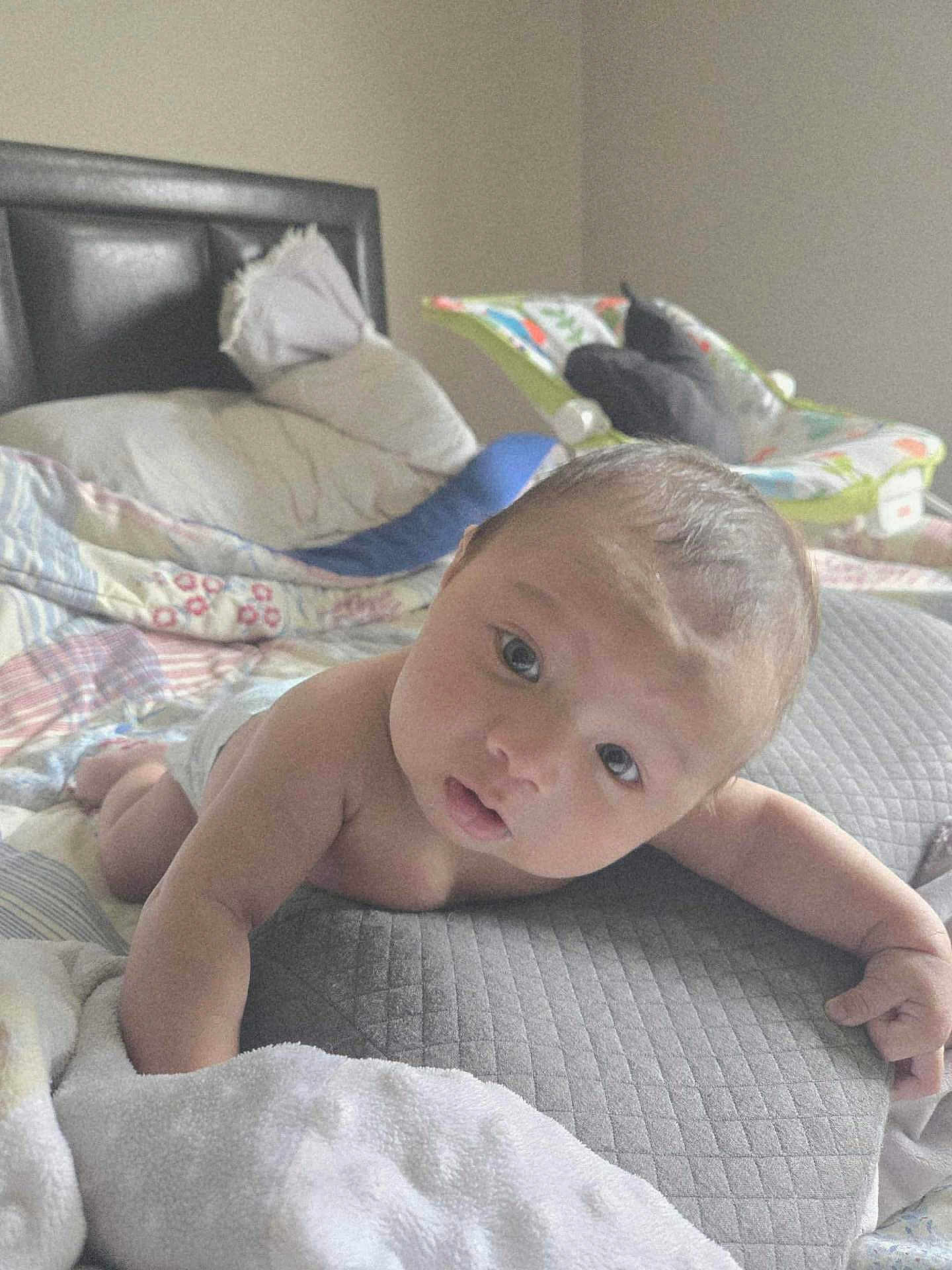 Loretto is registered to the contest to win money with this photo: baby, infant, bed, pillow, blanket, diaper, baby_rocker, indoor, child, person, face, curious, soft_light, skin, head, arms, hand, room, furniture, resting