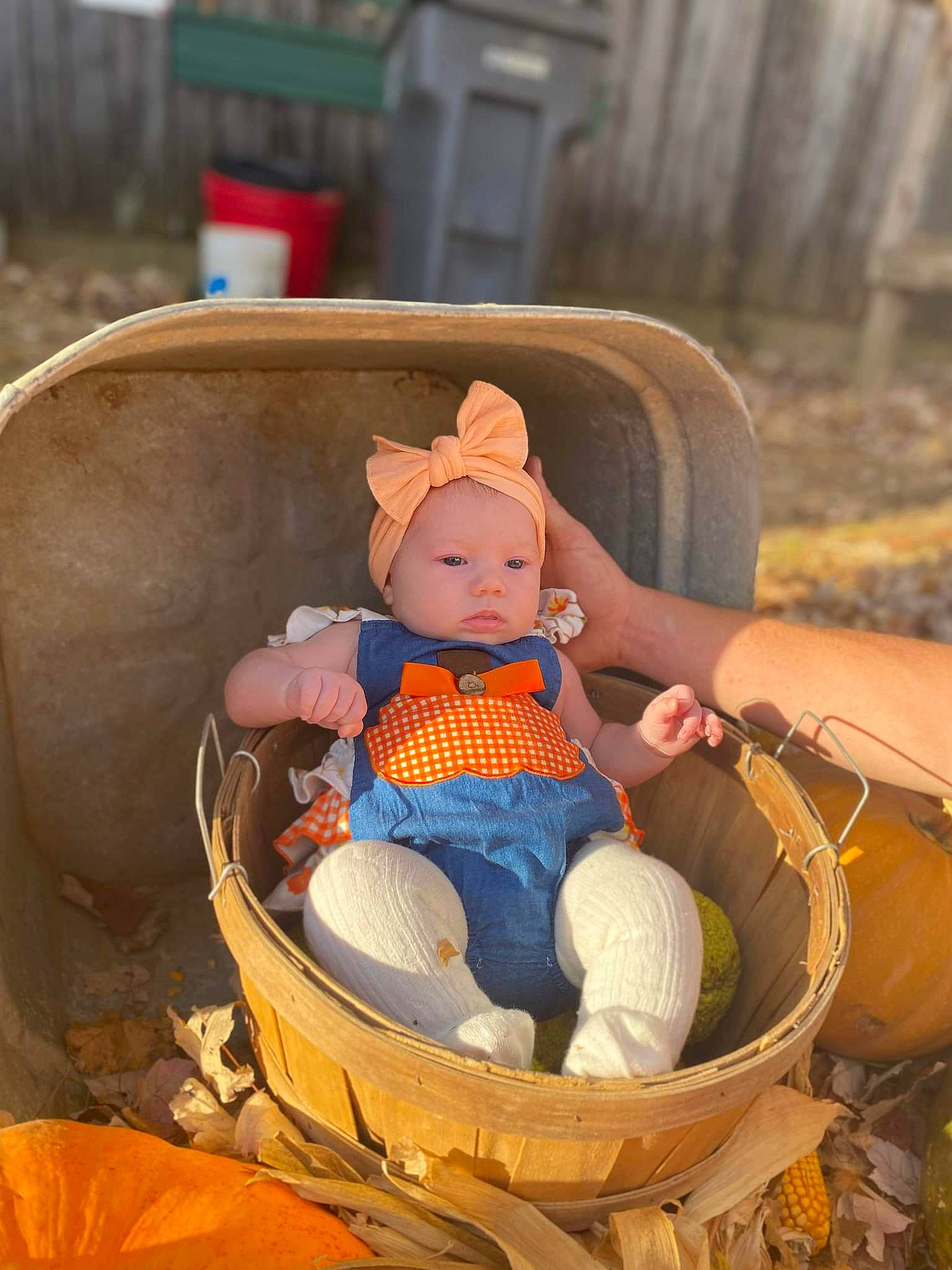 Lilyanna is registered to the contest to win money with this photo: baby, baby_carriage, baby_products, bag, basket, chair, child, comfort, doll, fun, grass, hat, headwear, lap, leisure, orange, person, recreation, sitting, stuffed_toy