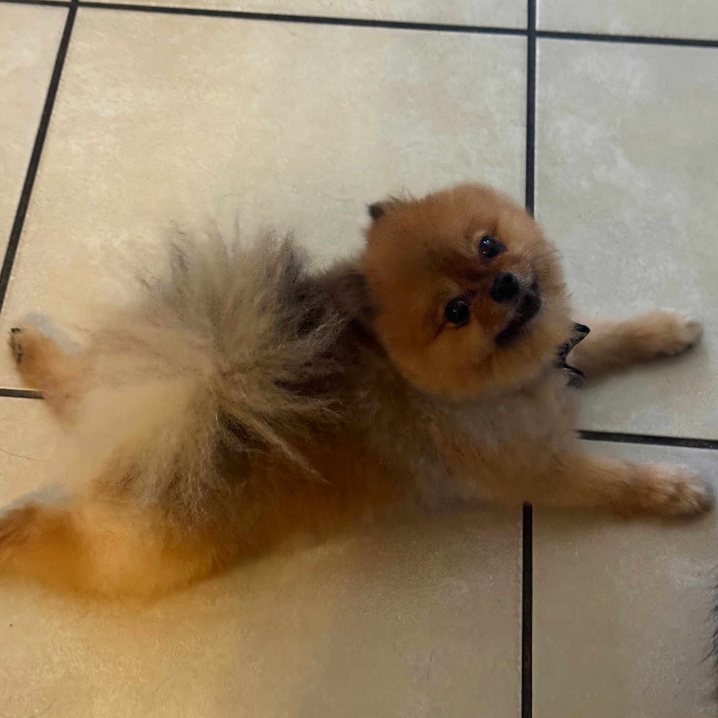 Milo