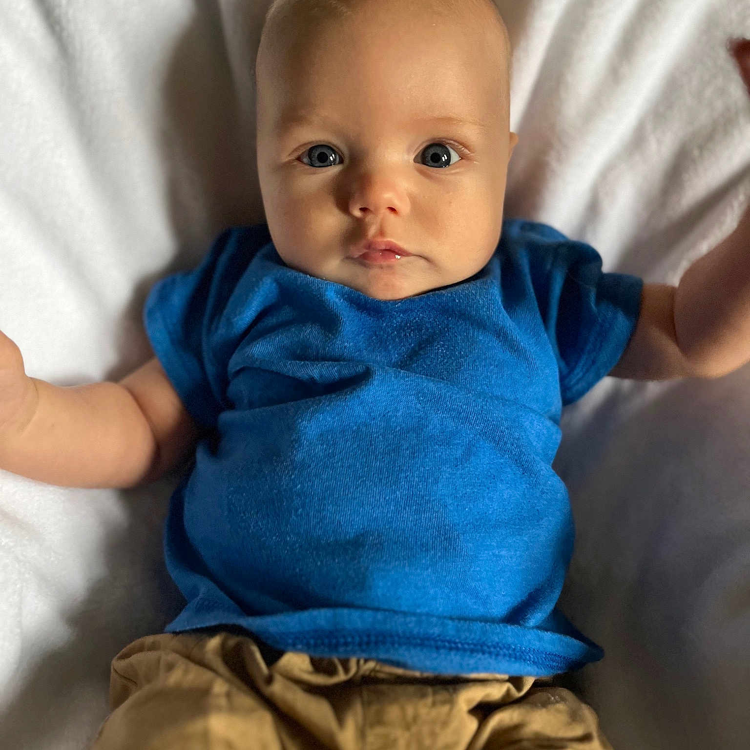 Troy