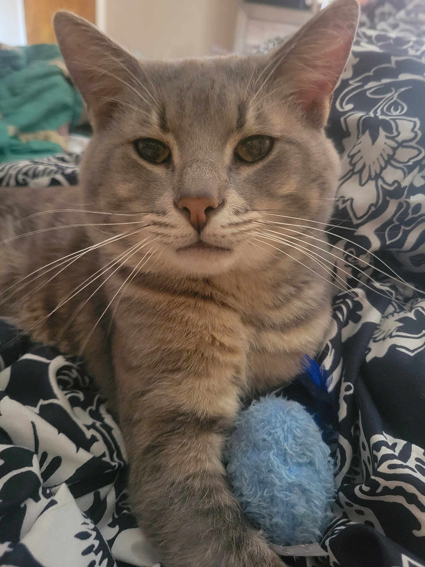 Loki