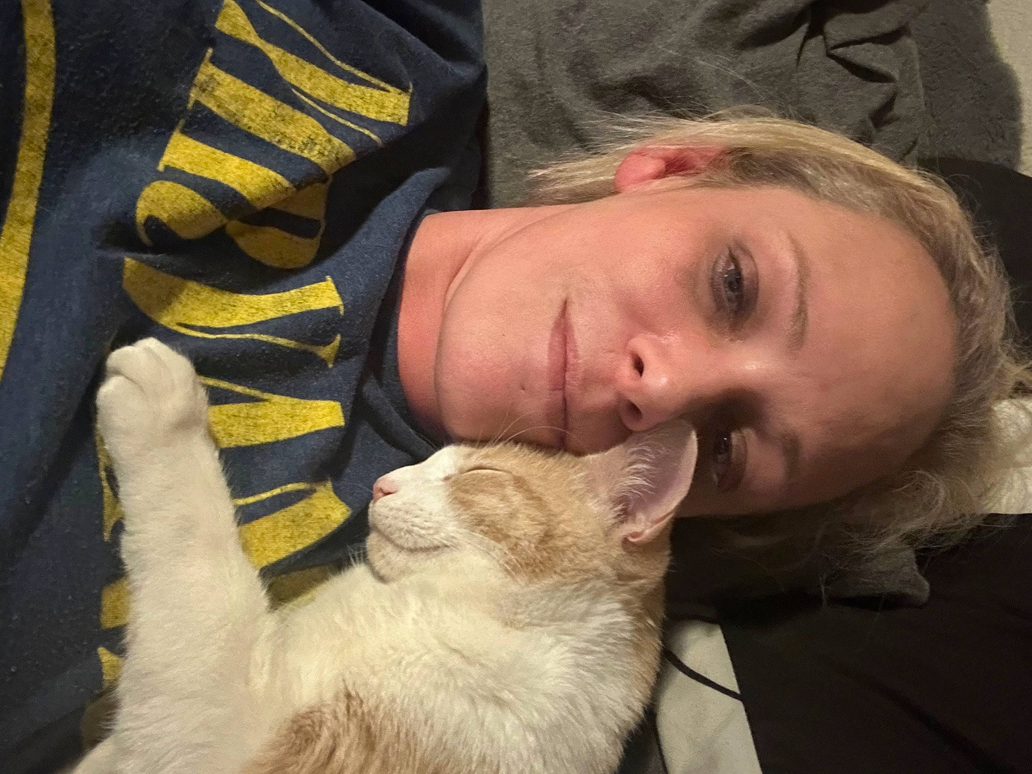 Larry is registered to the contest to win money with this photo: carnivore, cat, comfort, companion_dog, domestic_short_haired_cat, ear, fawn, felidae, fur, gesture, happy, mammal, nose, selfie, skin, small_to_medium_sized_cats, tail, textile, vertebrate, whiskers