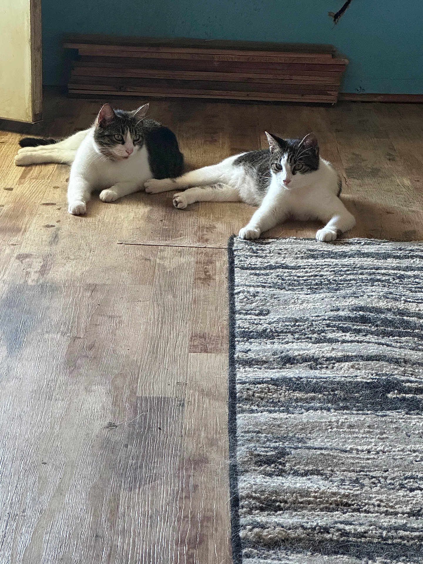 Gilbert And Arnie
