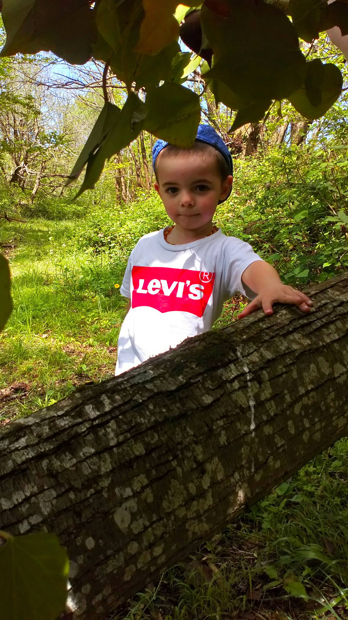 Tiago participe au concours pour gagner de l'argent avec cette photo : adaptation, child, grass, green, jungle, leaf, leisure, person, plant, smile, toddler, tree