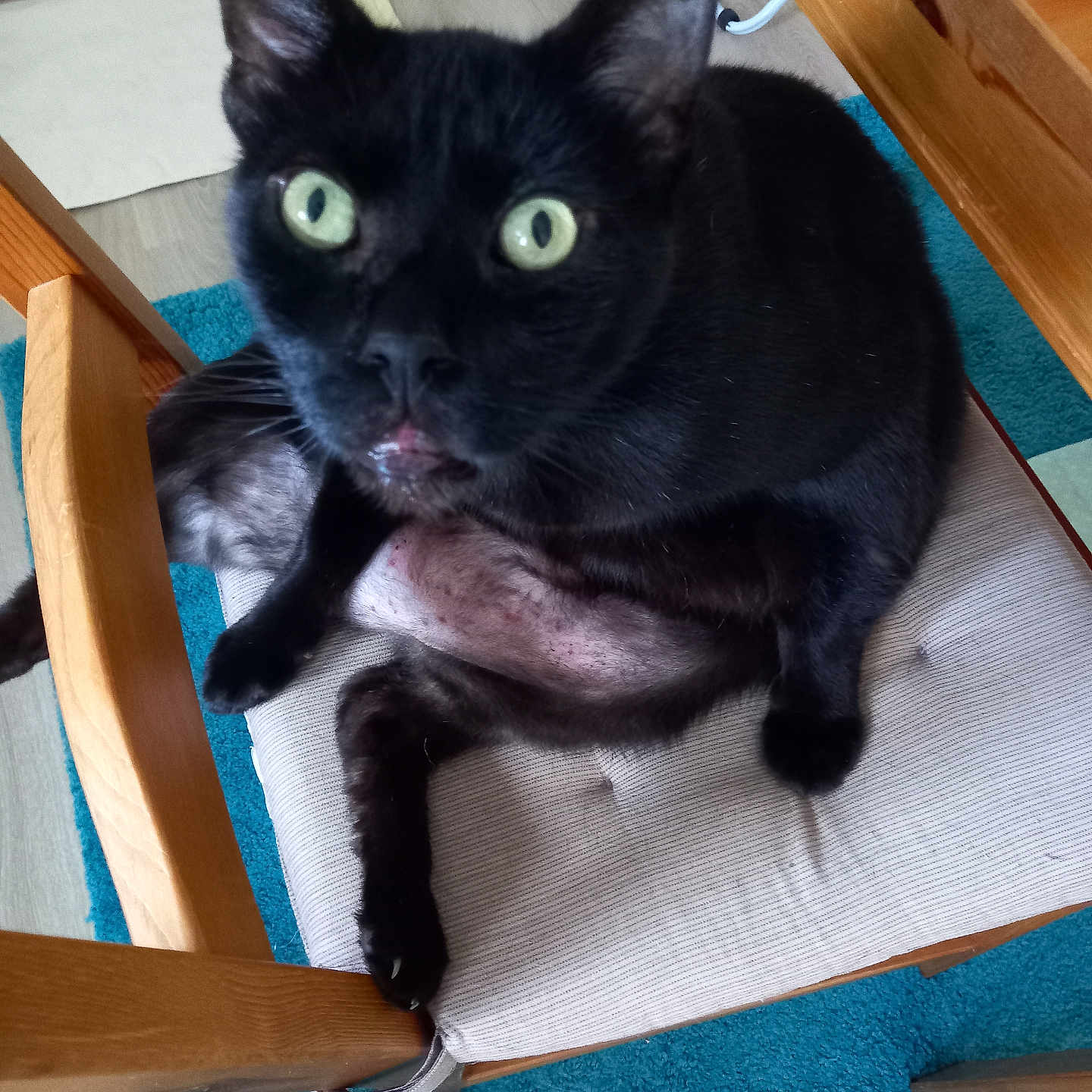 Cœur