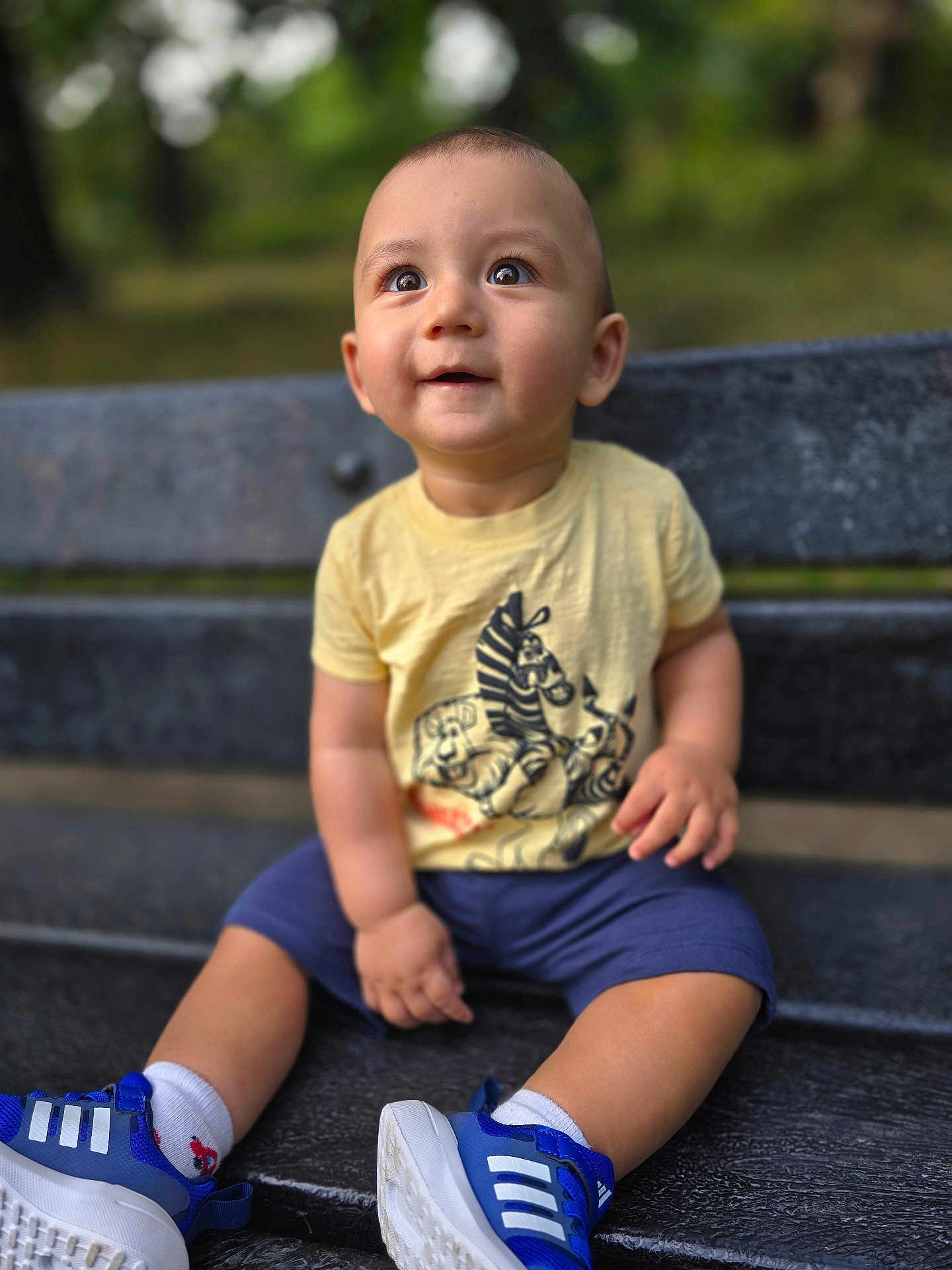 Devin is registered to the contest to win money with this photo: toddler, child, bench, outdoor, smiling, yellow_tshirt, blue_shoes, shorts, nature, park, happy, sitting, cute, face, person, footwear, casual_clothing, daylight, expression, young_child