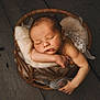 newborn, baby, sleeping, basket, wicker, soft_padding, stuffed_toy, mouse, arm, face, peaceful, infant, wood_floor, cute, portrait, resting, indoors, cozy, child, photography