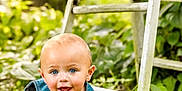 Lex is registered to the contest to win money with this photo: baby, child, crawling, denim_overalls, blue_eyes, outdoor, greenery, plants, wooden_ladder, nature, smiling, happy, infant, grass, sunlight, portrait, cute, playful, garden, young_child