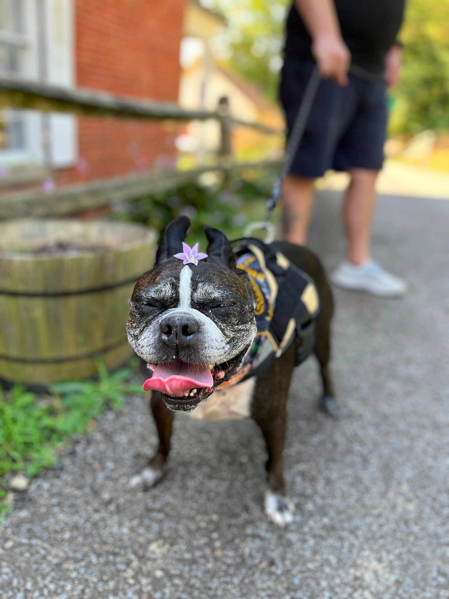 Chewy