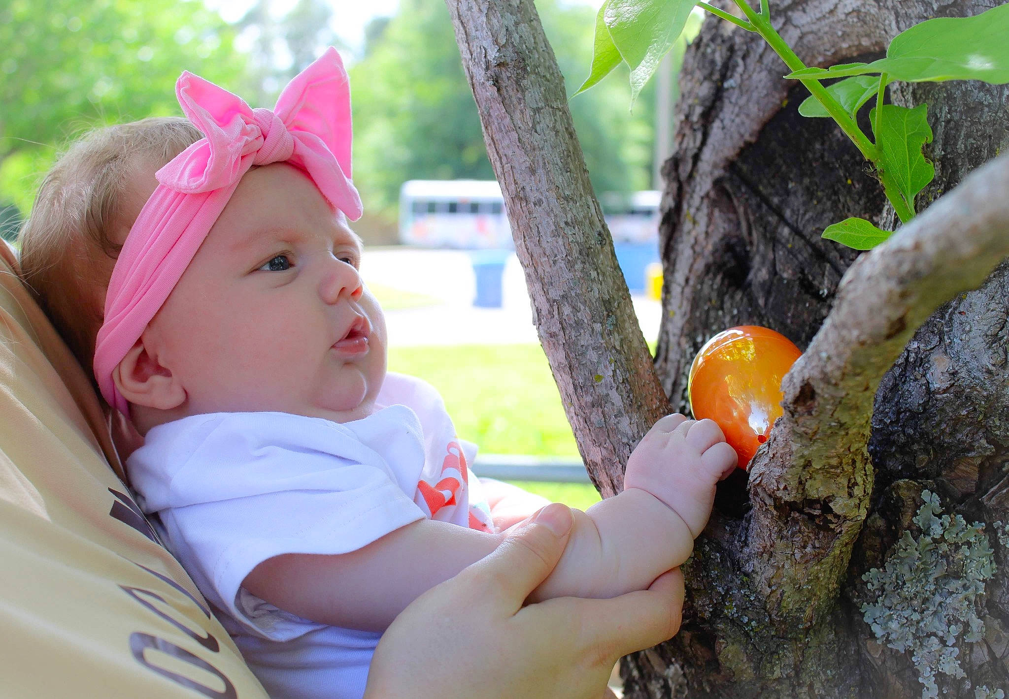 Kaylie is registered to the contest to win money with this photo: baby, baby_toddler_clothing, cap, citrus, fashion_accessory, fruit, fruit_tree, fun, grass, happy, hat, headwear, leaf, leisure, people_in_nature, person, plant, sitting, sun_hat, toddler