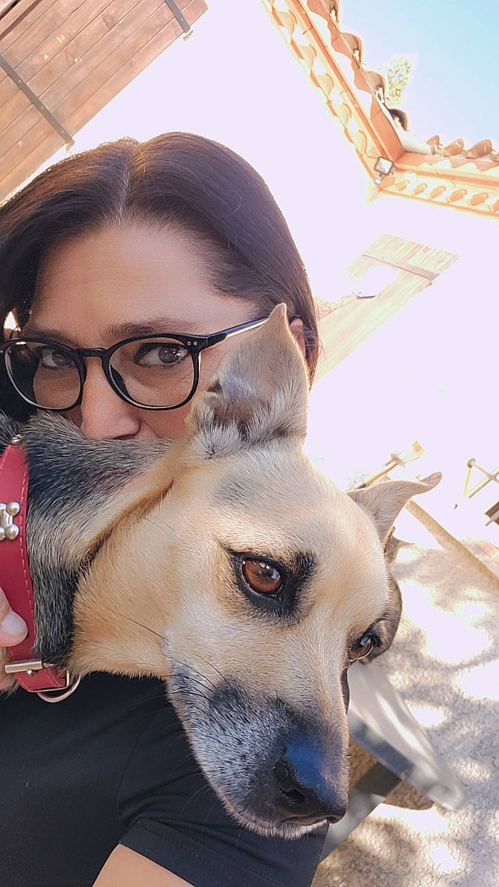 Galia a rejoint le concours — aidez-le/la à gagner de superbes lots ! beard, carnivore, companion_dog, dog, dog_breed, ear, eyelash, eyewear, fawn, gesture, glasses, happy, jaw, nose, selfie, snout, vision_care, whiskers, window, working_animal