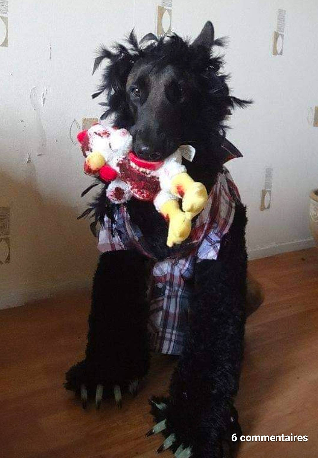 India participe au concours pour gagner de l'argent avec cette photo : artificial_hair_integrations, canidae, companion_dog, costume, dog_breed, event, fashion_design, fictional_character, flooring, fun, fur, mascot, mask, picture_frame, plush, room, sporting_group, stuffed_toy, toy