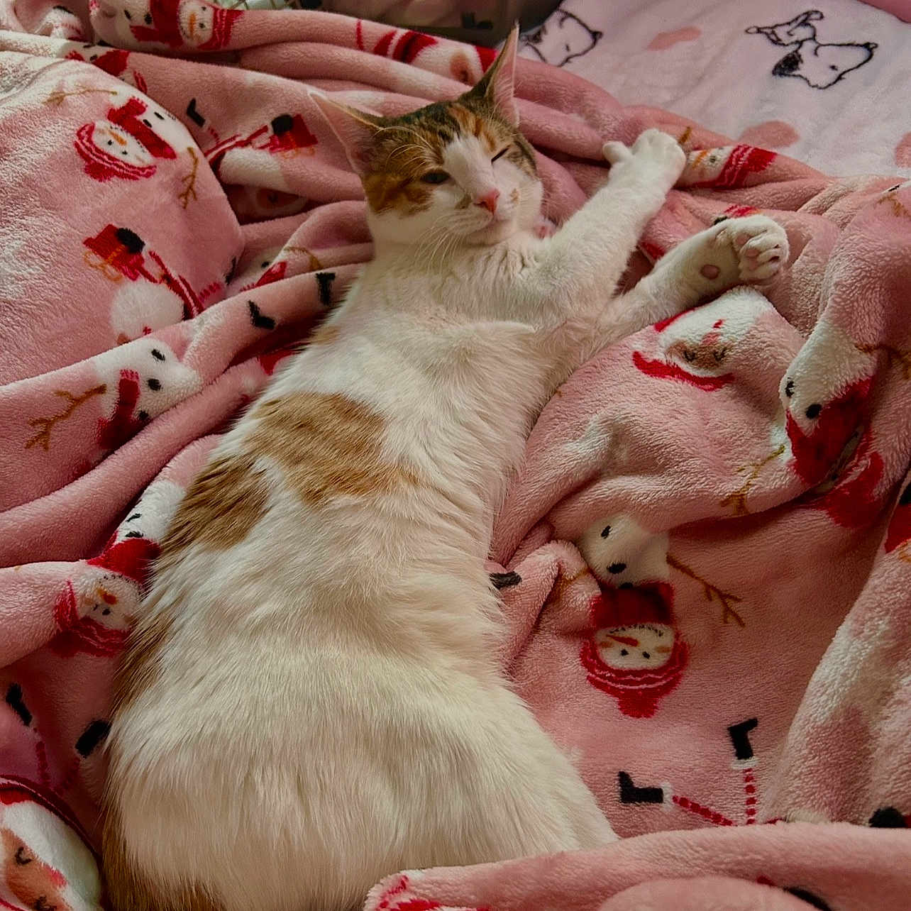 Yuki
