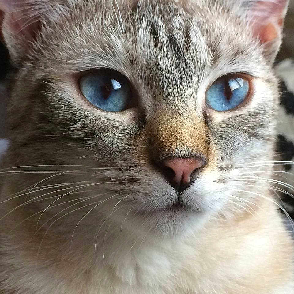 Jade a rejoint le concours — aidez-le/la à gagner de superbes lots !