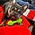 Rocky