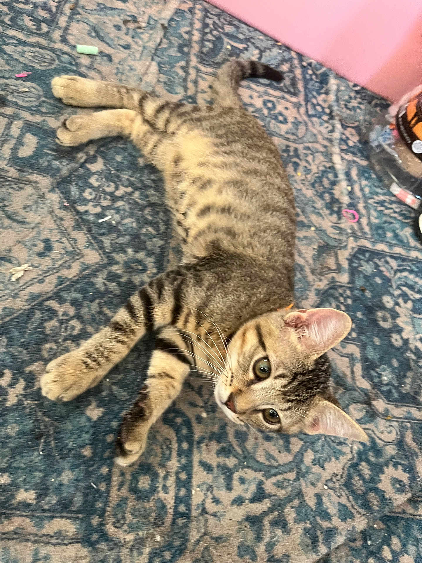 Marvin