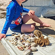 Elias joined the competition — help win amazing prizes! beach, blue_clothing, boy, casual, child, collection, happy, hat, marine_life, nature, outdoor, playful, sand, seashells, smiling, summer, sunny, tailgate, vacation, vehicle