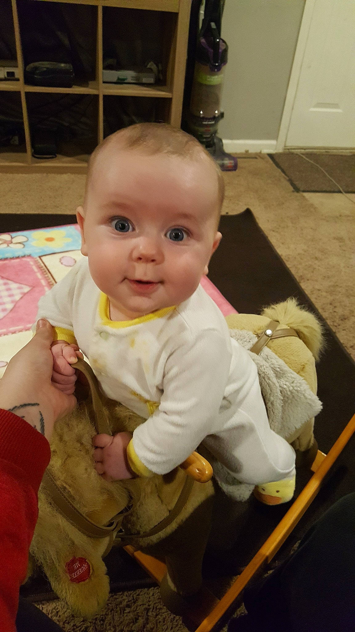 Gordon joined the competition — help win amazing prizes! baby, cheek, child, eye, face, head, person, sitting, skin, smile, toddler