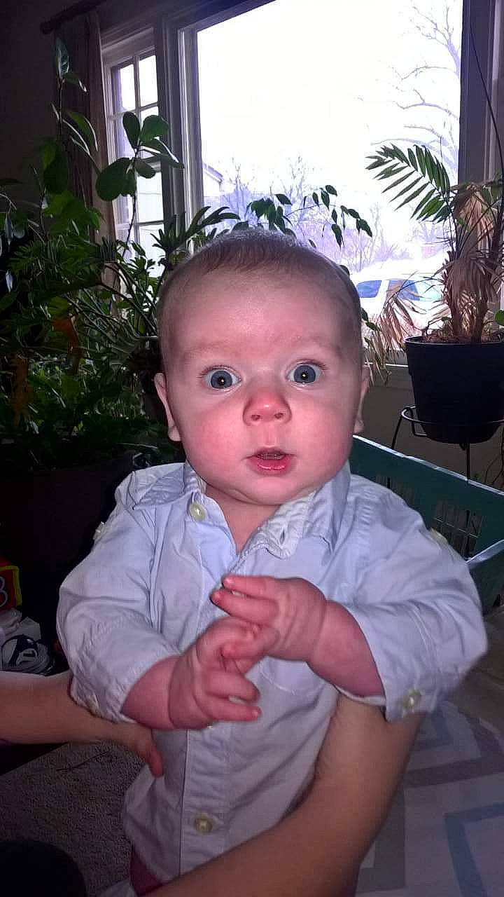 Gordon joined the competition — help win amazing prizes! baby, cheek, child, face, head, iris, person, sitting, skin, smile, toddler