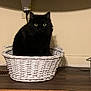 cat, black_cat, basket, wicker, indoor, pet, animal, curious, wide_eyes, feline, floor, wall, shadow, power_outlet, cord, home, cozy, wooden_floor, domestic, sitting