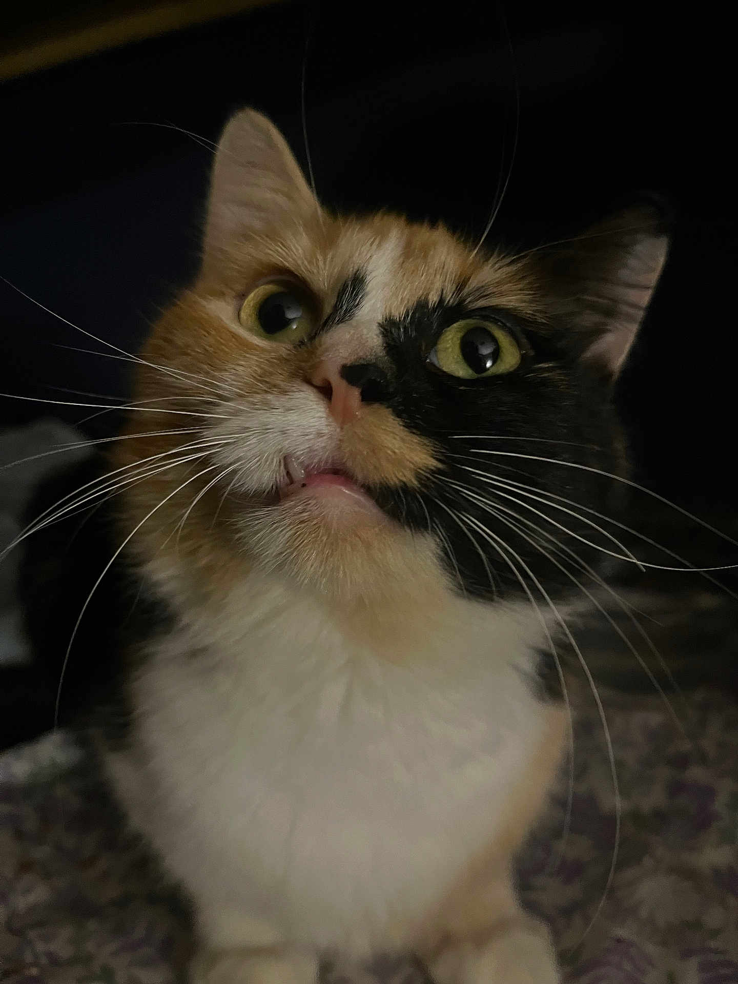 Ham