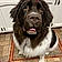 Woofie The Newfie