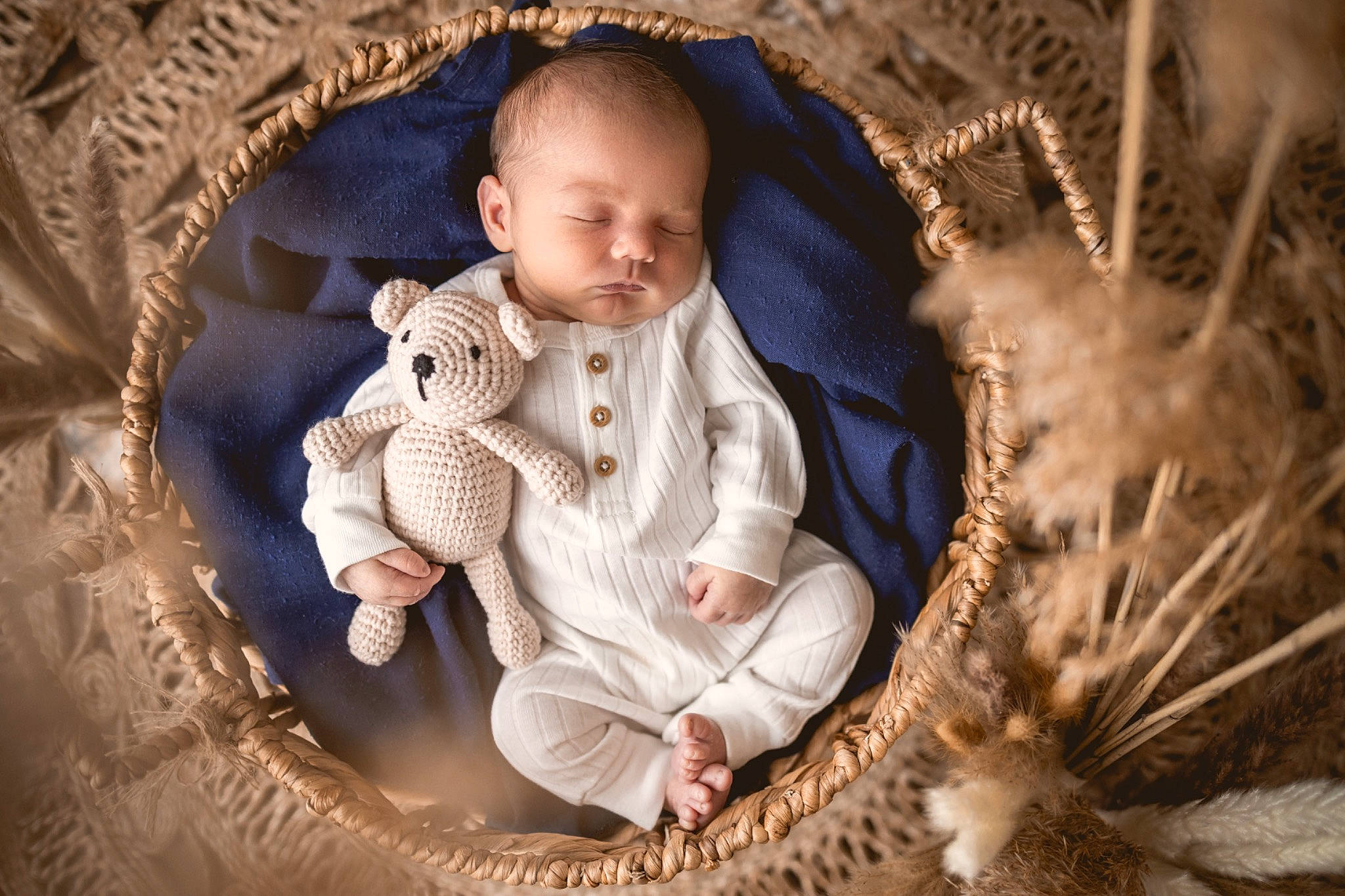 James participe au concours pour gagner de l'argent avec cette photo : baby, baby_products, baby_sleeping, baby_toddler_clothing, basket, child, comfort, flash_photography, fur, grass, headgear, linens, person, plant, sitting, skin, toddler, twig, winter, wood