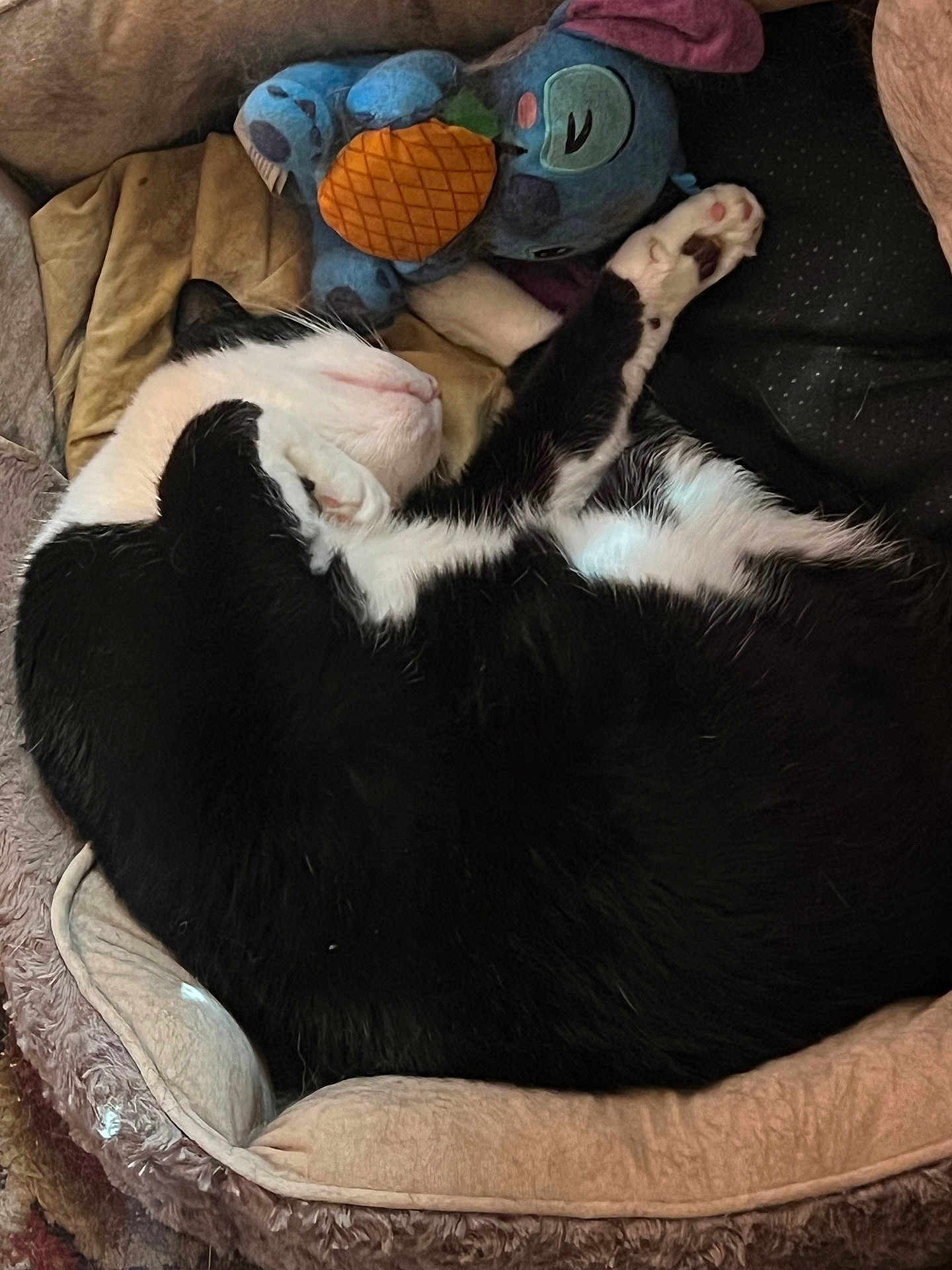 Bubba