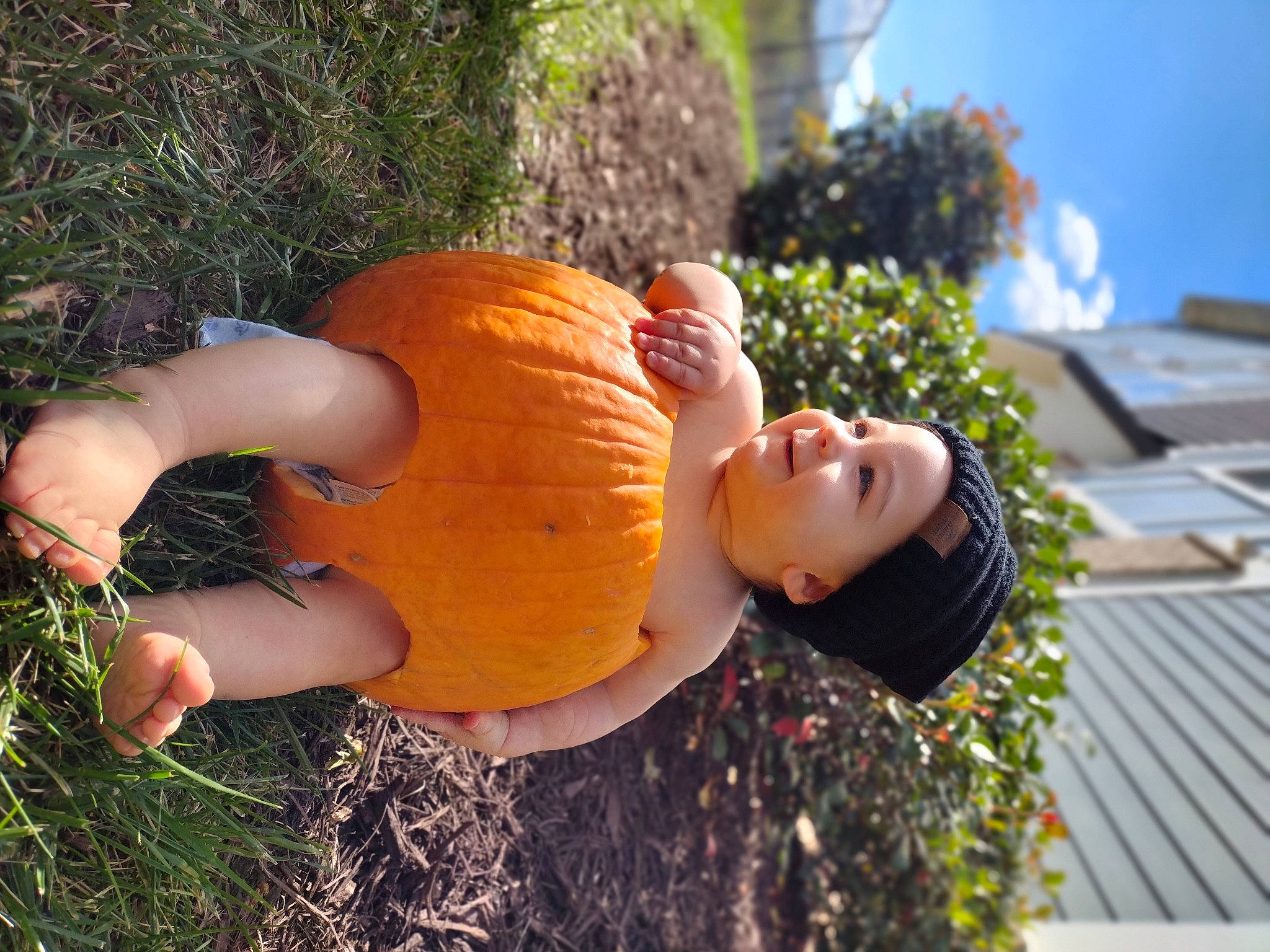 Ambrose joined the competition — help win amazing prizes! calabaza, cucurbita, fruit, gourd, grass, happy, lawn_ornament, local_food, natural_foods, orange, people_in_nature, person, plant, produce, pumpkin, sky, squash, tree, vegetable, winter_squash