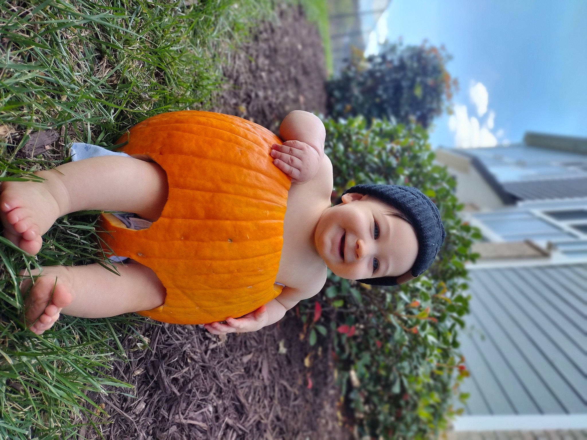 Ambrose joined the competition — help win amazing prizes! calabaza, child, cucurbita, gourd, grass, happy, headwear, jack_o_lantern, joy, lawn_ornament, leisure, natural_foods, orange, people_in_nature, person, plant, pumpkin, smile, squash, tree