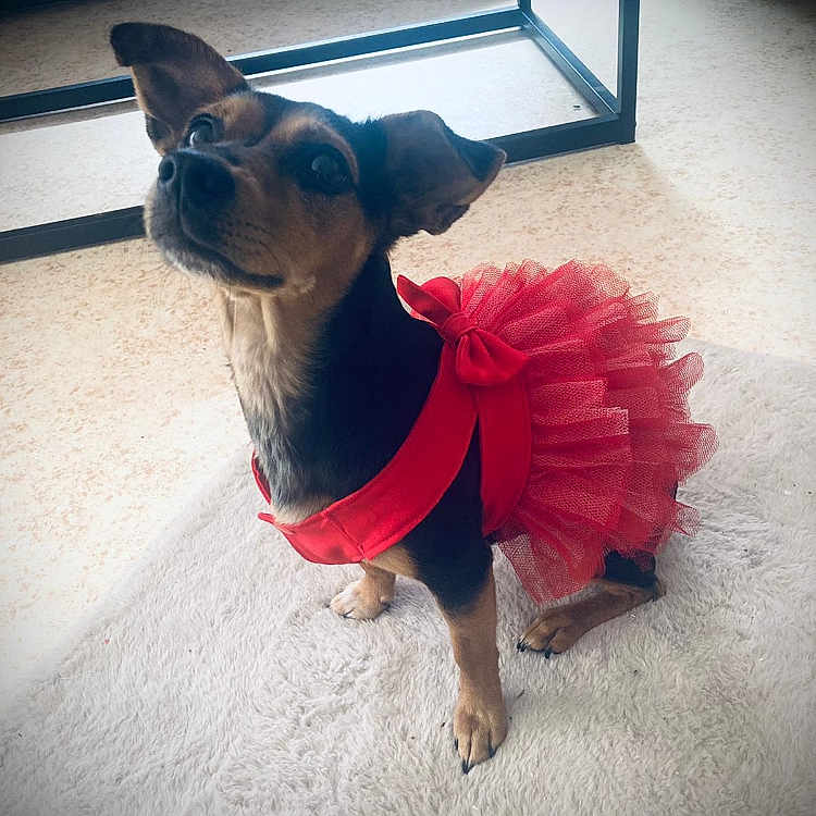 Nala