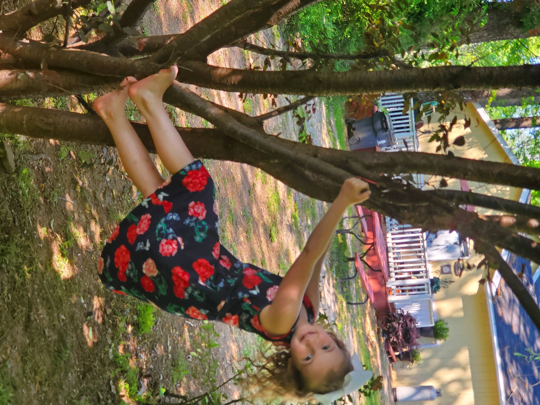 Raven is registered to the contest to win money with this photo: branch, joy, jungle, person, plant, tree