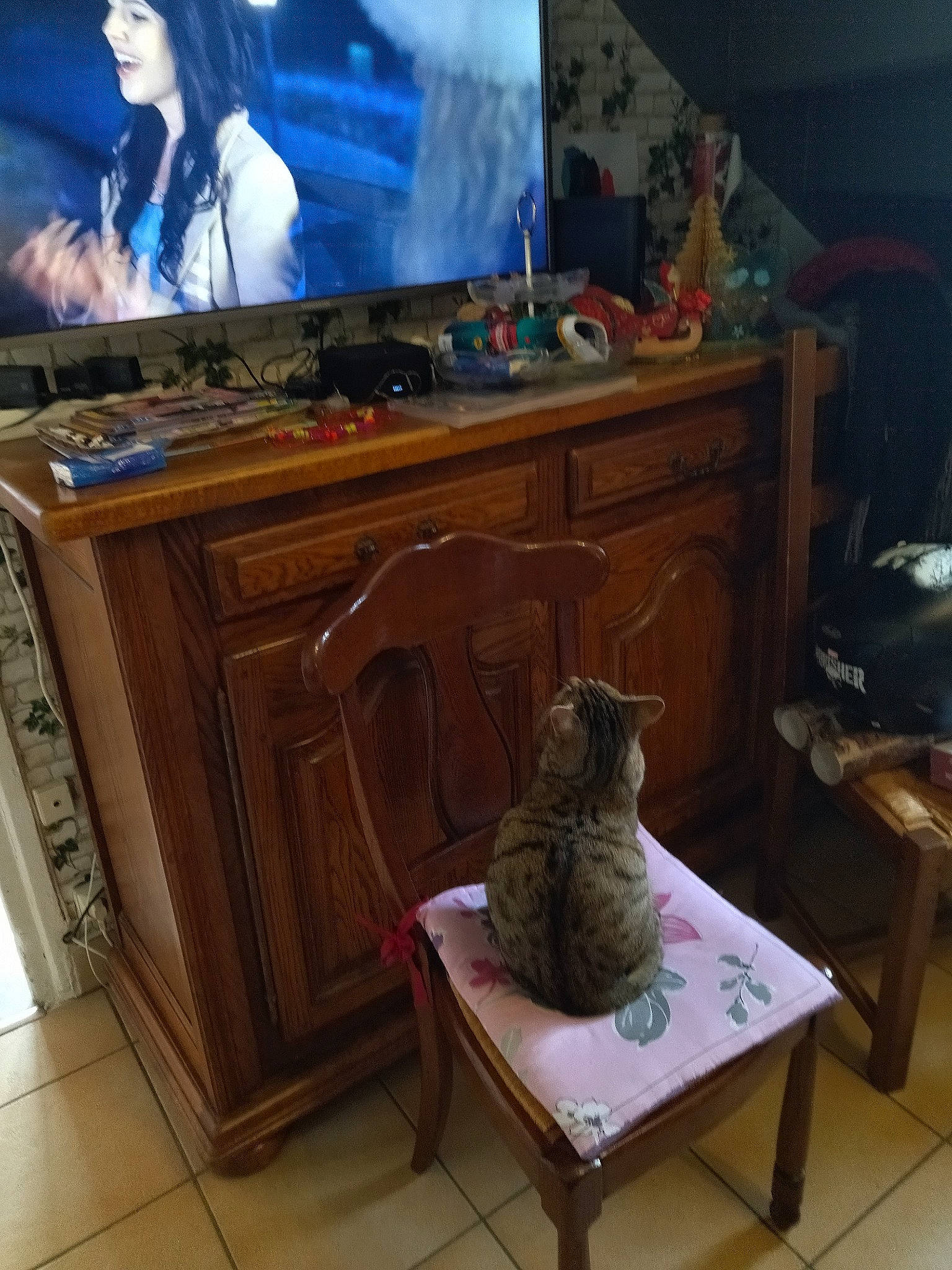 Lilas participe au concours pour gagner de l'argent avec cette photo : art, blue, cabinetry, carnivore, cat, chest_of_drawers, comfort, cupboard, drawer, felidae, flat_panel_display, flooring, furniture, hardwood, picture_frame, small_to_medium_sized_cats, table, television_set, wood, wood_stain