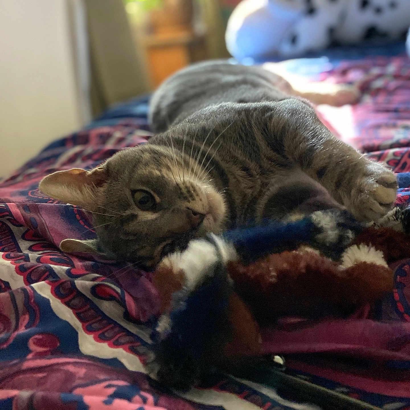 Milo