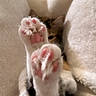 Coco is registered to the contest to win money with this photo: bed, black_and_white, cat, close_up, cozy, cute, fluffy_blanket, fur, indoor, kitten, lying_down, paw, paw_pads, pet, pink_toebeans, playful, portrait, sleeping, text_overlay, whiskers