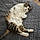 Bootsie