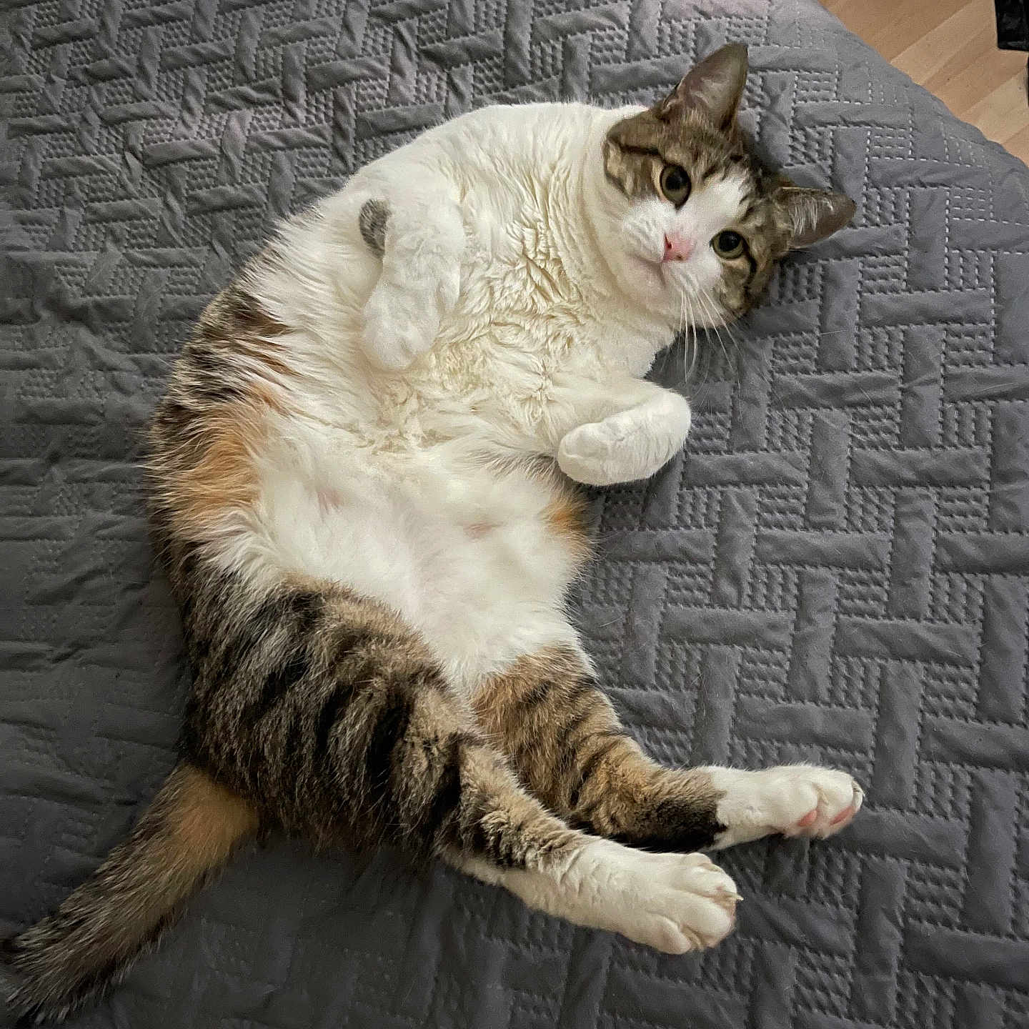 Bootsie